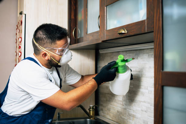 Reliable Gloucester Courthouse, VA Pest Control Solutions