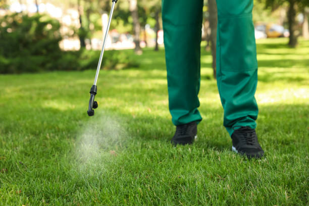 Best Exterminator Services  in Gloucester Courthouse, VA