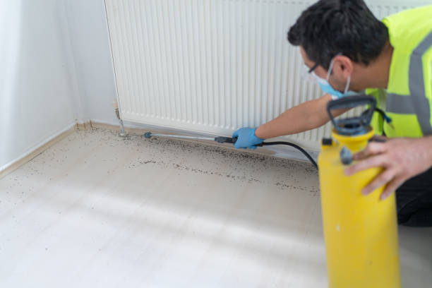 Best Residential Pest Control  in Gloucester Courthouse, VA